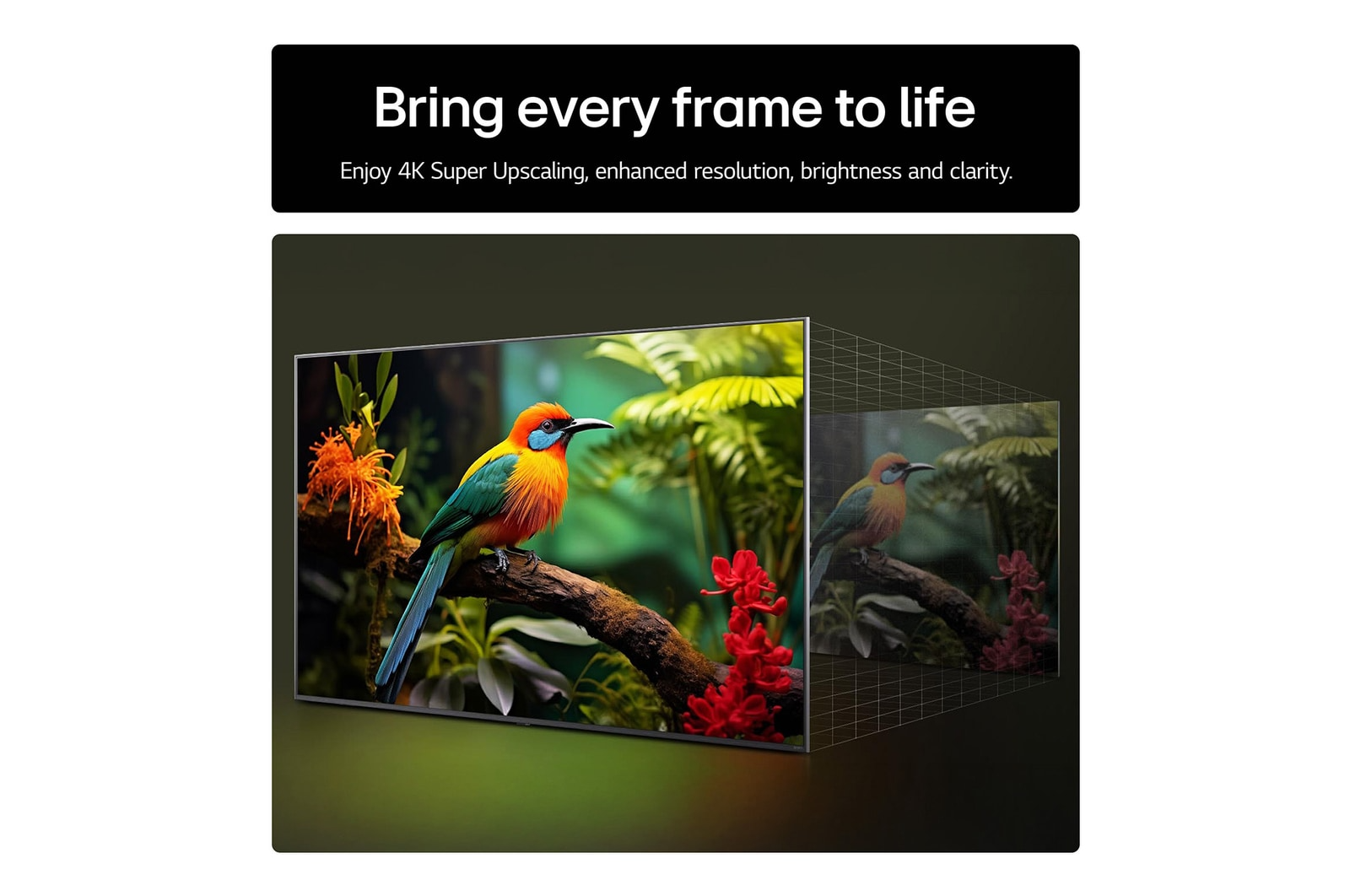 LG 50UA74006LB 50 Inch AI ThinQ UA74 4K UHD HDR Smart TV
