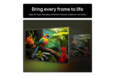 LG 65UA74006LB 65 Inch AI ThinQ UA74 4K UHD HDR Smart TV
