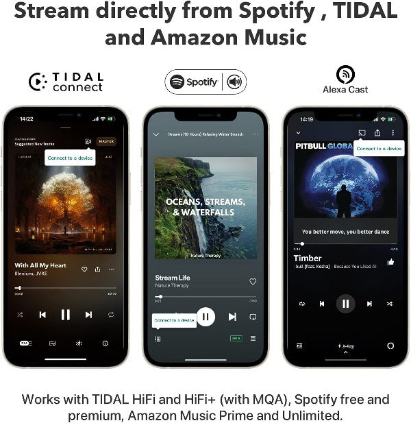 WiiM Pro Audiophile Grade Multi-Room Music Streamer