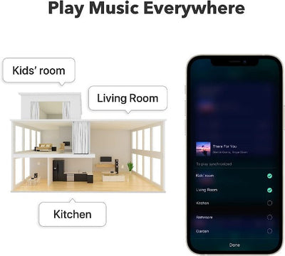 WiiM Pro Plus Audiophile Grade Multi-Room Music Streamer
