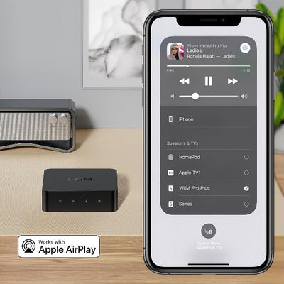 WiiM Pro Plus Audiophile Grade Multi-Room Music Streamer