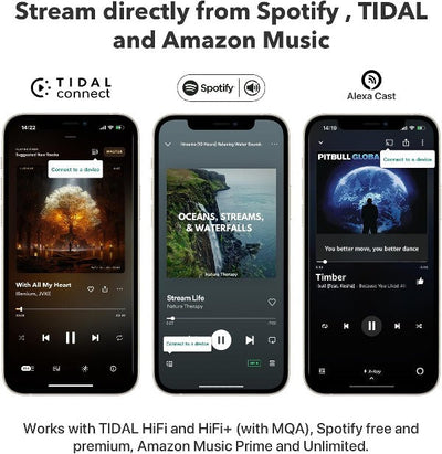 WiiM Pro Plus Audiophile Grade Multi-Room Music Streamer