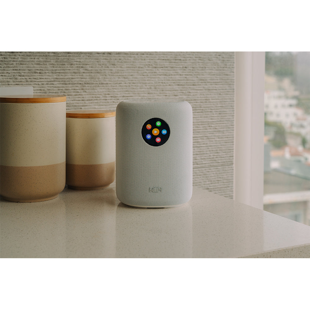 WiiM SOUND Wireless Multiroom Smart Speaker PAIR with Display - White